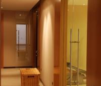 TRASLUCIDO TRASLUCIDO